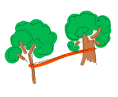 Укрепление деревьев между собой тросами